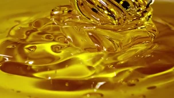 粗油或蜂蜜滴在黑色背景上的巨芽 — 图库视频影像