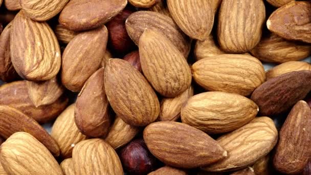 Close Throwing Almond Already Big Pile Almonds Cover Whole Screen — Stok Video