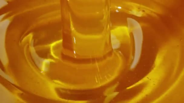 黒い背景に落ちる油や蜂蜜の厚い液体ドロップのマクロ撮影 — ストック動画