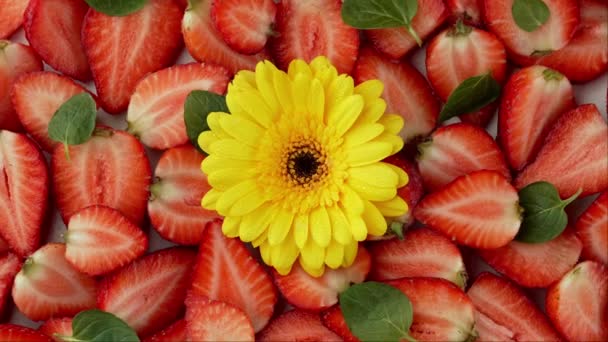 Streszczenie Fuzja Żółty Kwiat Truskawka Żywym Tle — Wideo stockowe