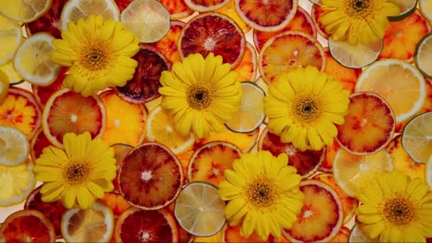 Fruktmönster Apelsinskivor Och Blommor Med Blad Grã Bakgrund Högst Upp — Stockvideo