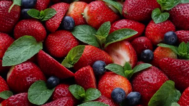 Frutas Morango Mirtilo Vista Perto Foco Seletivo — Vídeo de Stock