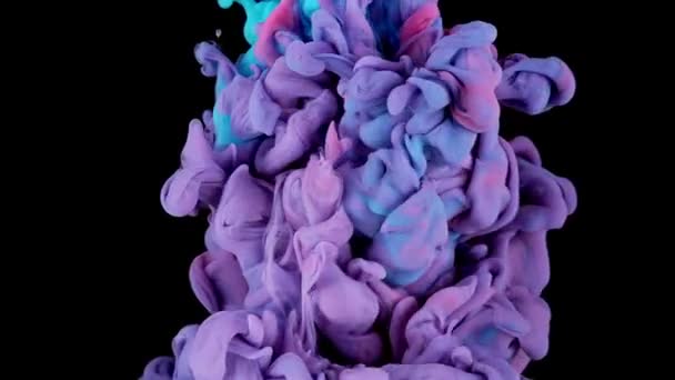 Sıvı Sanat Mistiği Siyah Menekşe Sıvı Doku Parlak Sanatsal Çalışmalar — Stok video