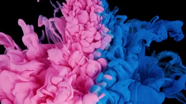 Абстрактный Цветовой Микс Красная Синяя Пайнты Падают Воду Медленное Движение — стоковое видео