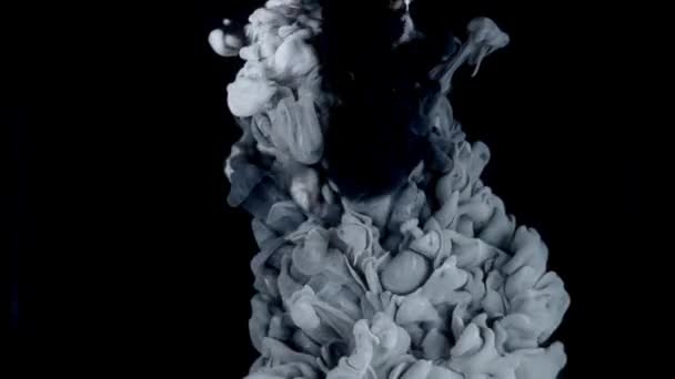Lenyűgöző Tintafúzió Sötétszürke Festékcsepp Absztrakt Felhő Létrehozása Vízben Izolált Tintafesték — Stock videók