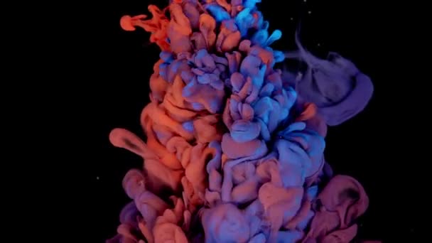 Danza Cromática Abstracta Gotas Pintura Roja Azul Entrelazadas Agua Creación — Vídeos de Stock