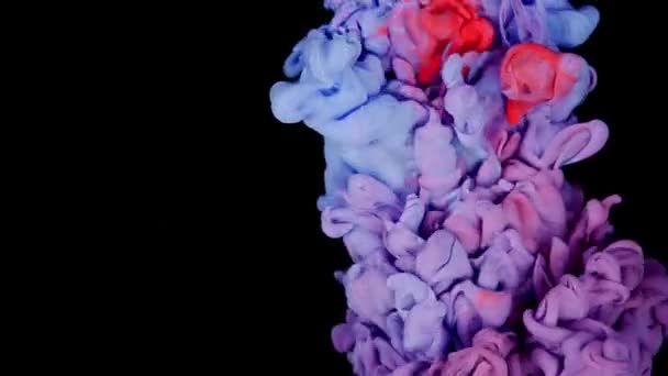 Soyut Sıvı Sanatı Yakın Çekim Mavi Leylak Pembe Pembelerle Canlı — Stok video
