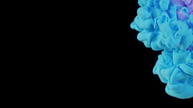 Renklerin sihirli karışımı. Siyah arka planda izole edilmiş suda ipeksi mürekkep bulutu. Suda renkli mürekkep, mürekkep damlası. Mor, mavi, pembe.