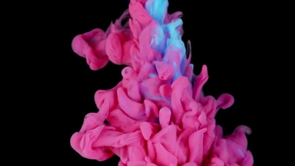 Nube Color Vibrante Gotas Pintura Roja Azul Agua Creando Mezcla — Vídeos de Stock