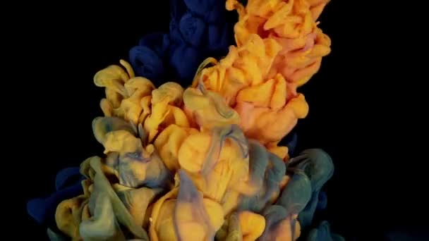 カラフルな融合 アクリル塗料のスローモーション溶解は 黄色と青の色合いと黒のキャンバス上で見事な抽象表示を作成します — ストック動画