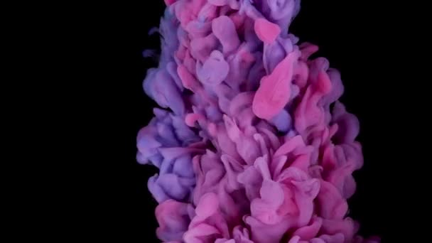 Dynamische Vloeistofabstractie Glanzende Zwarte Kleurverf Organische Achtergrond Creëren Met Wervelende — Stockvideo
