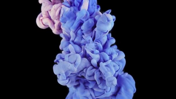 Modrý Růžový Inkoust Který Šíří Vodě Abstraktní Pozadí — Stock video