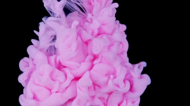 Delicia Visual Calmante Gotas Pintura Rosa Creando Colores Suaves Cámara — Vídeos de Stock