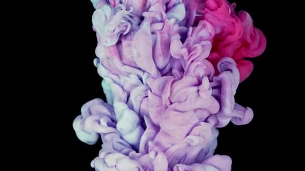 カラフルな虹色の塗料は 水に混合物の上から落ちる 水中で渦巻くインク 黒い背景に孤立した絹のようなインクの雲 抽象的な煙爆発アニメーション効果の色 ビューを閉じる — ストック動画