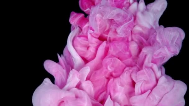 Мрійливе Злиття Чорнила Повільний Рух Рожевої Фарби Краплі Створення Красивих — стокове відео