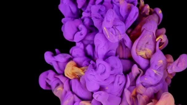 Dynamic Color Fusion Purple Yellow Paint Mixing Black Background — Stock Video
