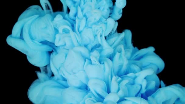 Modré Kapky Barvy Mísí Zpomaleným Pohybem Vody Záběry Skladu Hladký — Stock video