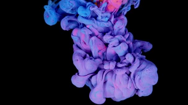 Boeiende Kleurfusie Rode Blauwe Verf Druppels Samenvoegen Water Abstract Vloeibare — Stockvideo
