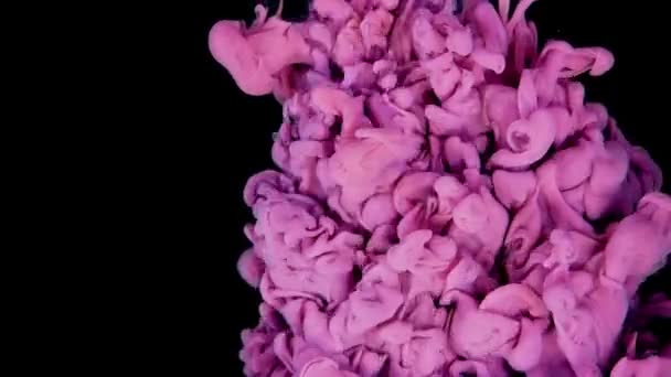 Dynamische Inkt Fusie Roze Gele Pigmenten Creëren Van Een Betoverende — Stockvideo