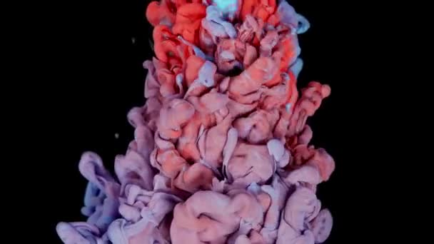 Movimento Dinâmico Fluidos Gotas Tinta Vermelha Azul Dançando Água Fusão — Vídeo de Stock