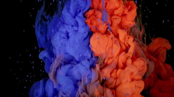 Boeiende Kleurstroom Rode Blauwe Verf Druppels Maken Van Abstracte Patronen — Stockvideo