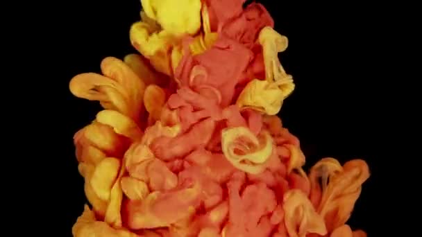 Expressive Color Burst Les Éclaboussures Peinture Jaune Rouge Entrent Collision — Video