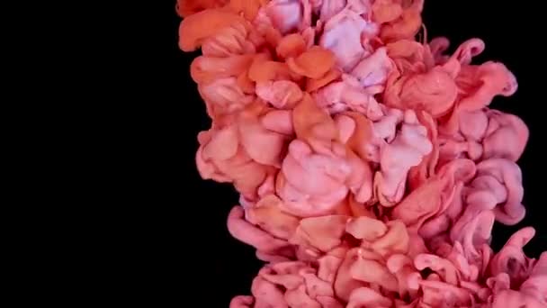 Renkli Boyalı Üst Görüntü Yavaş Çekimde Suda Karışıyor Siyah Arka — Stok video
