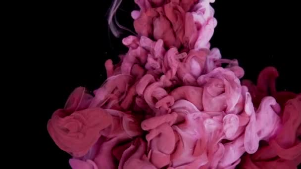 宁静的色彩舞蹈 粉色与白色丙烯酸涂料在水中创造美丽的花朵 — 图库视频影像