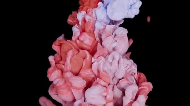 异想天开的巴斯德交响曲 粉红与白漆在白色画布上的相互作用与融合 — 图库视频影像