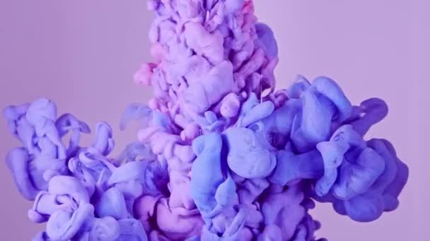 Рідина Мистецтво Мистецтво Мистецтво Чорна Фіолетова Рідка Текстура Блискучі Твори — стокове відео