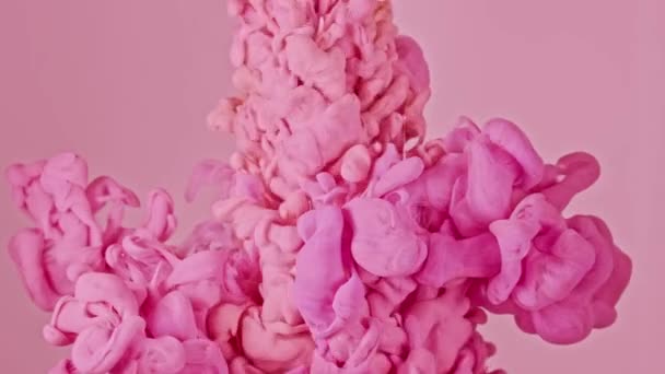 粉色和白色的油漆滴在水里 美丽的现代柔和的色彩 — 图库视频影像
