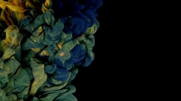 流体力学 アクリル絵具 水中で溶解し メッセンジャー化するスローモーションアブストラクトを発表ブラックキャンバス上の黄色と青の背景 — ストック動画