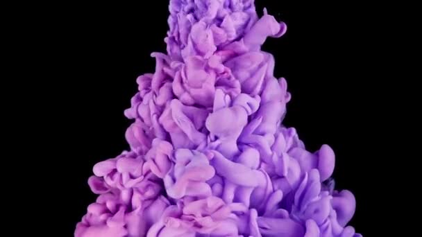 彩色云彩碰撞 粉色和紫色墨水混在水里 慢动作黑色背景 抽象运动背景 艺术效果 — 图库视频影像