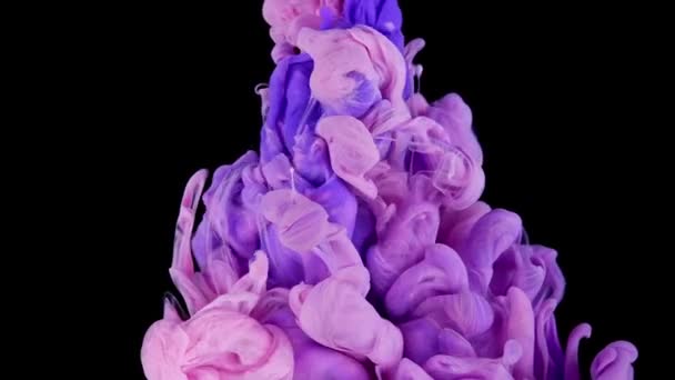 Cor Nuvem Colisão Mistura Tinta Rosa Roxa Água Movimento Lento — Vídeo de Stock