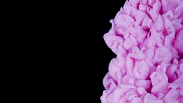 Fluid Art Magic Gotas Pintura Rosa Disolviéndose Agua Revelando Colores — Vídeos de Stock