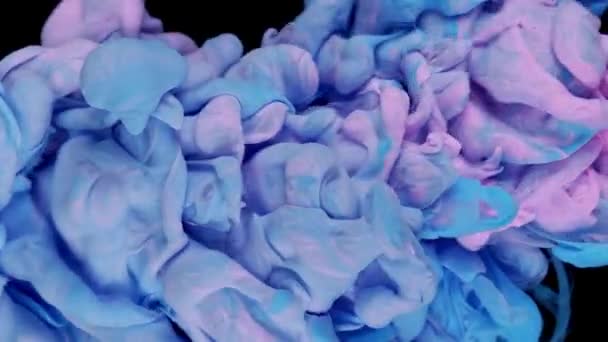 色の魔法の混合物 黒い背景に隔離された水の中に絹のようなインクの雲 水にカラフルなインク インクドロップします 紫青ピンク — ストック動画