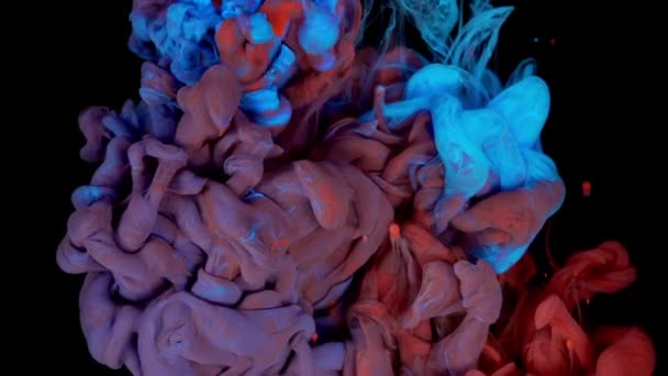 Sinfonia Cores Abstratas Mistura Vibrante Gotas Tinta Vermelha Azul Água — Vídeo de Stock