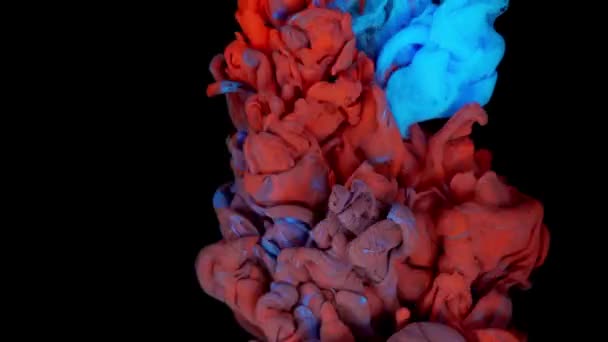 Whirling Ink Eruption 水の中で爆発する赤と青の塗料の落下 Abstract Colorful Fusion — ストック動画