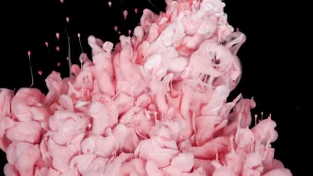 柔和的色泽优雅 粉色涂料水滴在水中扩散 黑色背景下缓慢运动 — 图库视频影像