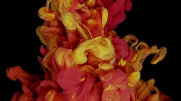 流体色融合 黄色と赤の塗料水との相互作用とスプラッシング — ストック動画