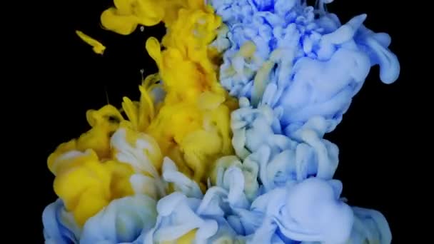 ダイナミッククロマティックインタープレイ 水のスプラッシュとミキシングの白とソフトブルーの塗料 — ストック動画