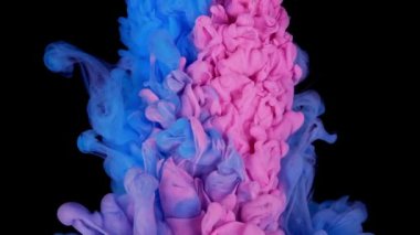 Renklerin sihirli karışımı. Siyah arka planda izole edilmiş suda ipeksi mürekkep bulutu. Suda renkli mürekkep, mürekkep damlası. Mor, mavi, pembe