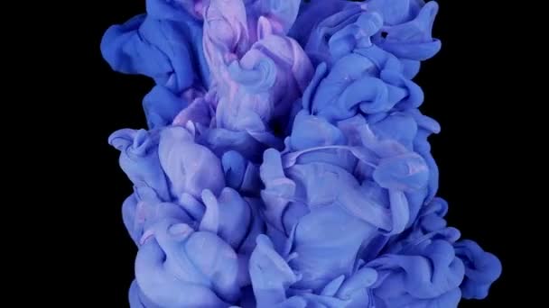 Tinta Rosa Brillante Azul Que Extiende Agua Fondo Abstracto — Vídeos de Stock