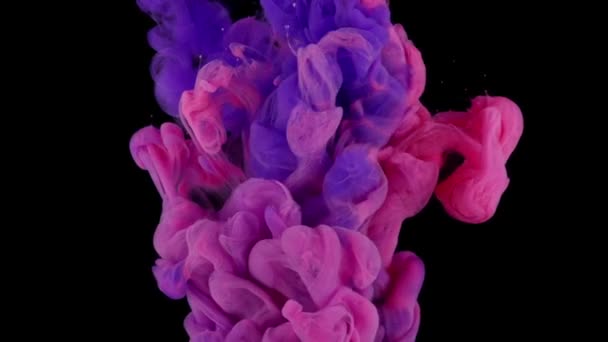 Fluid Art Inspiration Tinta Vermelha Azul Cai Criando Nuvem Cores — Vídeo de Stock