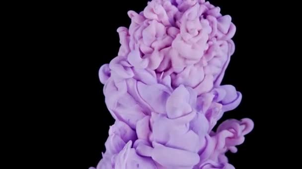 Collision Nuage Couleurs Encre Rose Violette Mélangeant Dans Eau Ralenti — Video