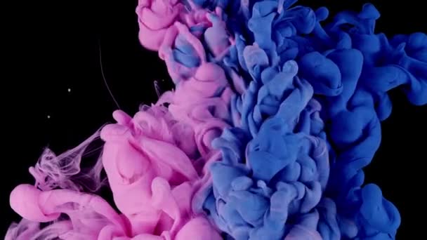 Serene Color Movement Slow Motion Red Blue Paint Drops Mixing — Stock Video