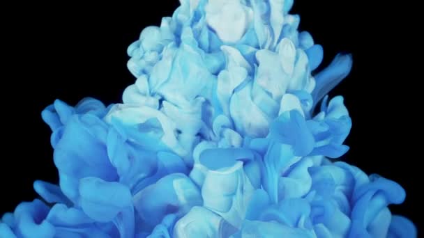 Fehér Kék Absztrakt Tinta Vízzel Keverve — Stock videók
