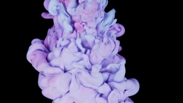 Bunte Tuschmalerei Von Oben Die Zeitlupe Wasser Verschmilzt Tinte Flüssige — Stockvideo