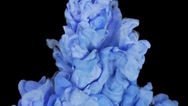 Tinta Azul Cai Misturando Movimento Lento Água Filmagem Estoque Tinta — Vídeo de Stock