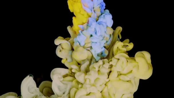 Kolorowe Interakcje Biały Miękki Niebieski Farba Akrylowa Splash Dynamika Żółtym — Wideo stockowe